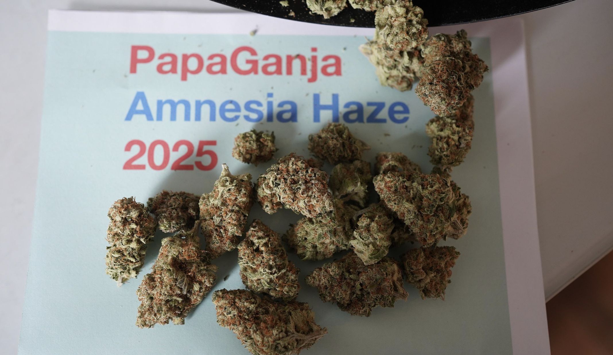 2g - Weed - Amnesia Haze